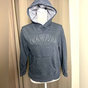 Champion Gray Hoodie